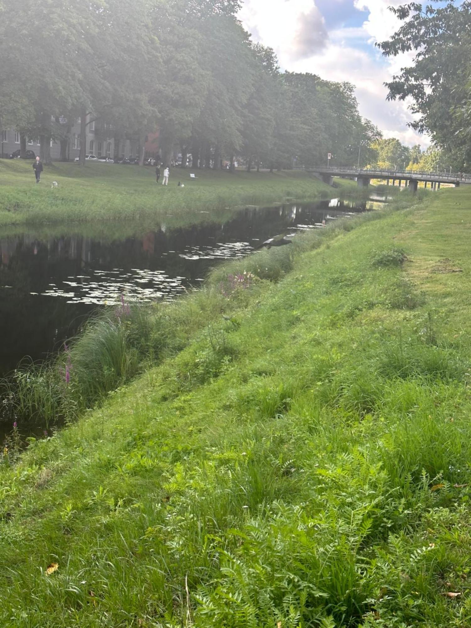 Pramkanalens Pensionat I Karlstad Buitenkant foto