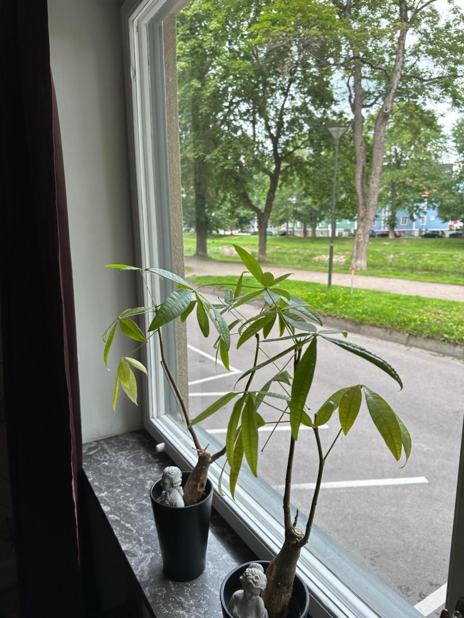 Pramkanalens Pensionat I Karlstad Buitenkant foto